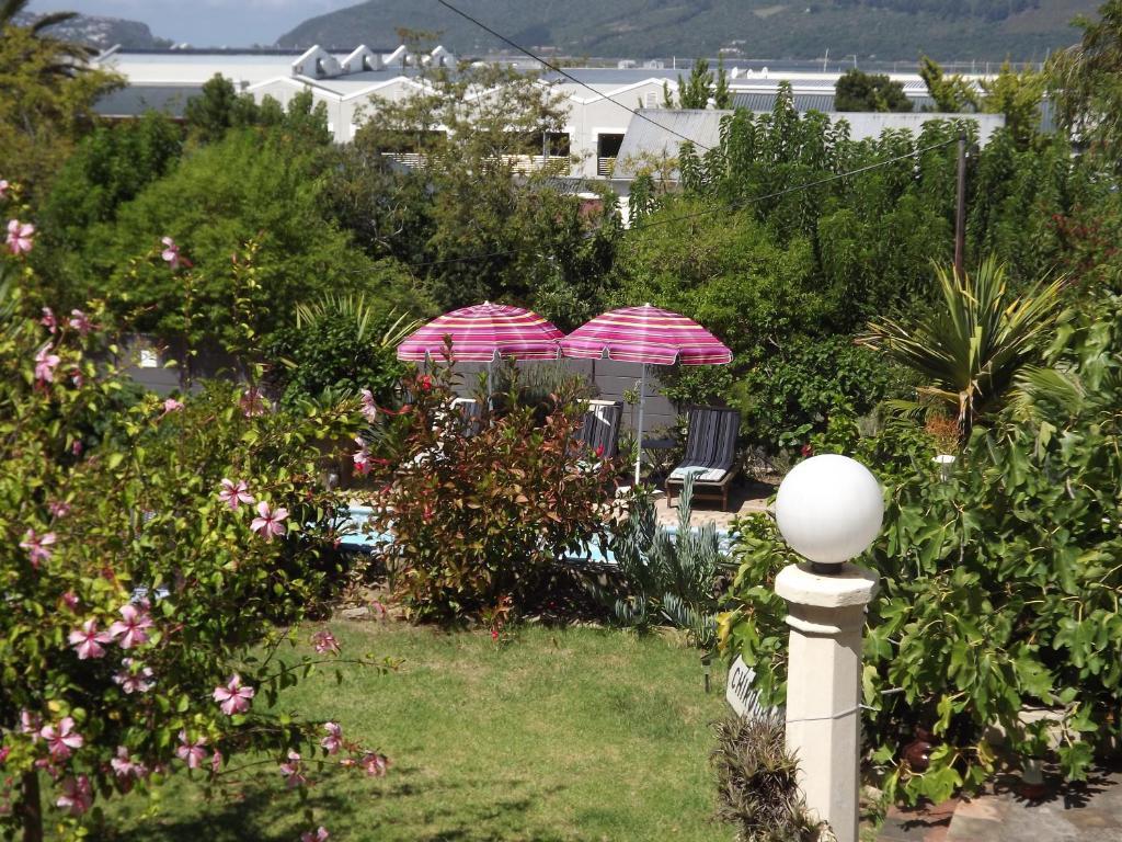 Aestas Bed & Breakfast Knysna Szoba fotó
