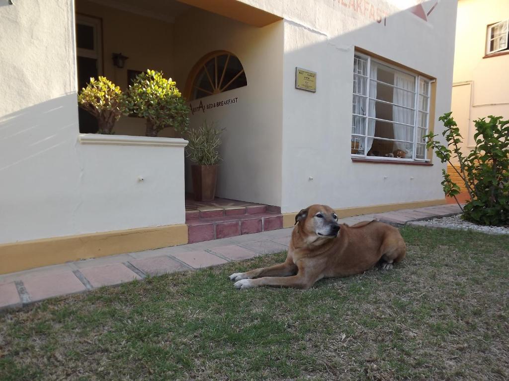 Aestas Bed & Breakfast Knysna Kültér fotó